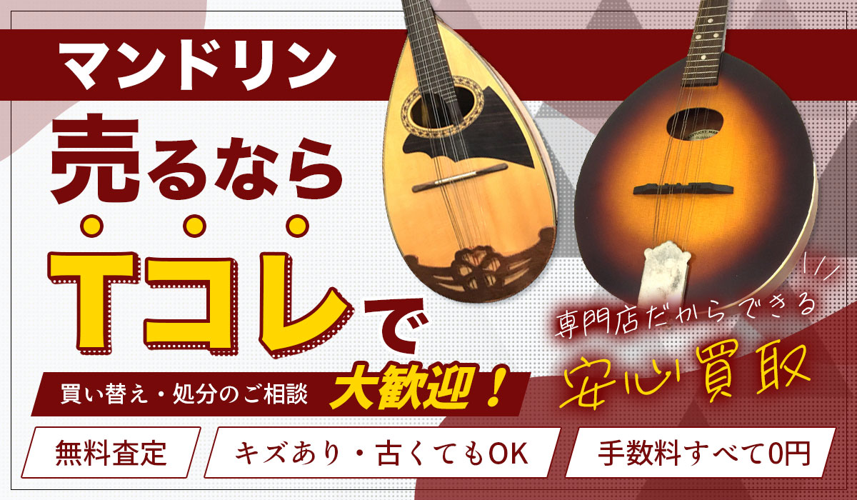 マンドリン売るならTコレで！買い替え・処分のご相談も大歓迎！